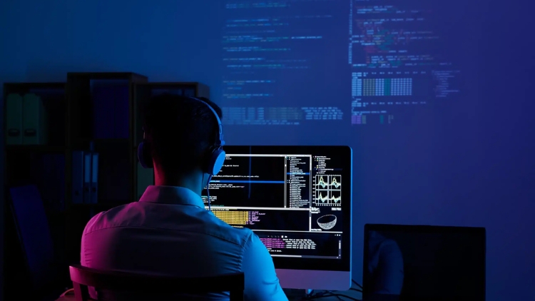 Bespoke Software Development Services